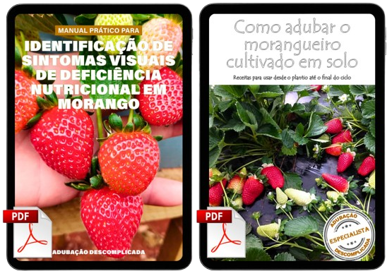Combo_Diag_Solo-removebg-preview