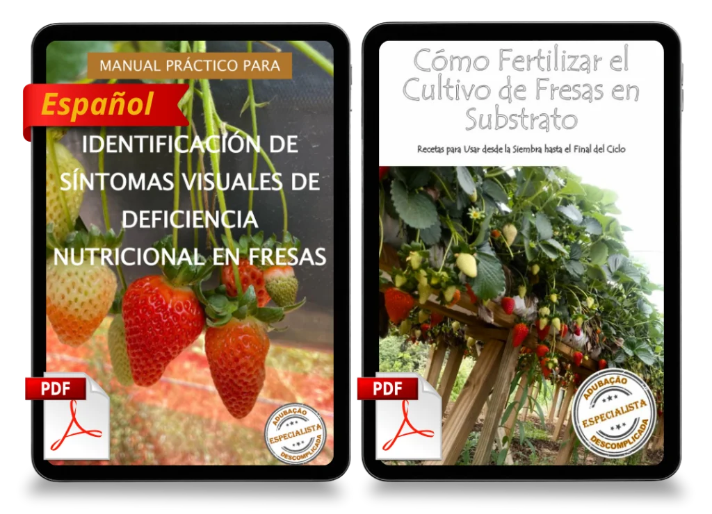 Combo_Diag_Subs_ES-_3_