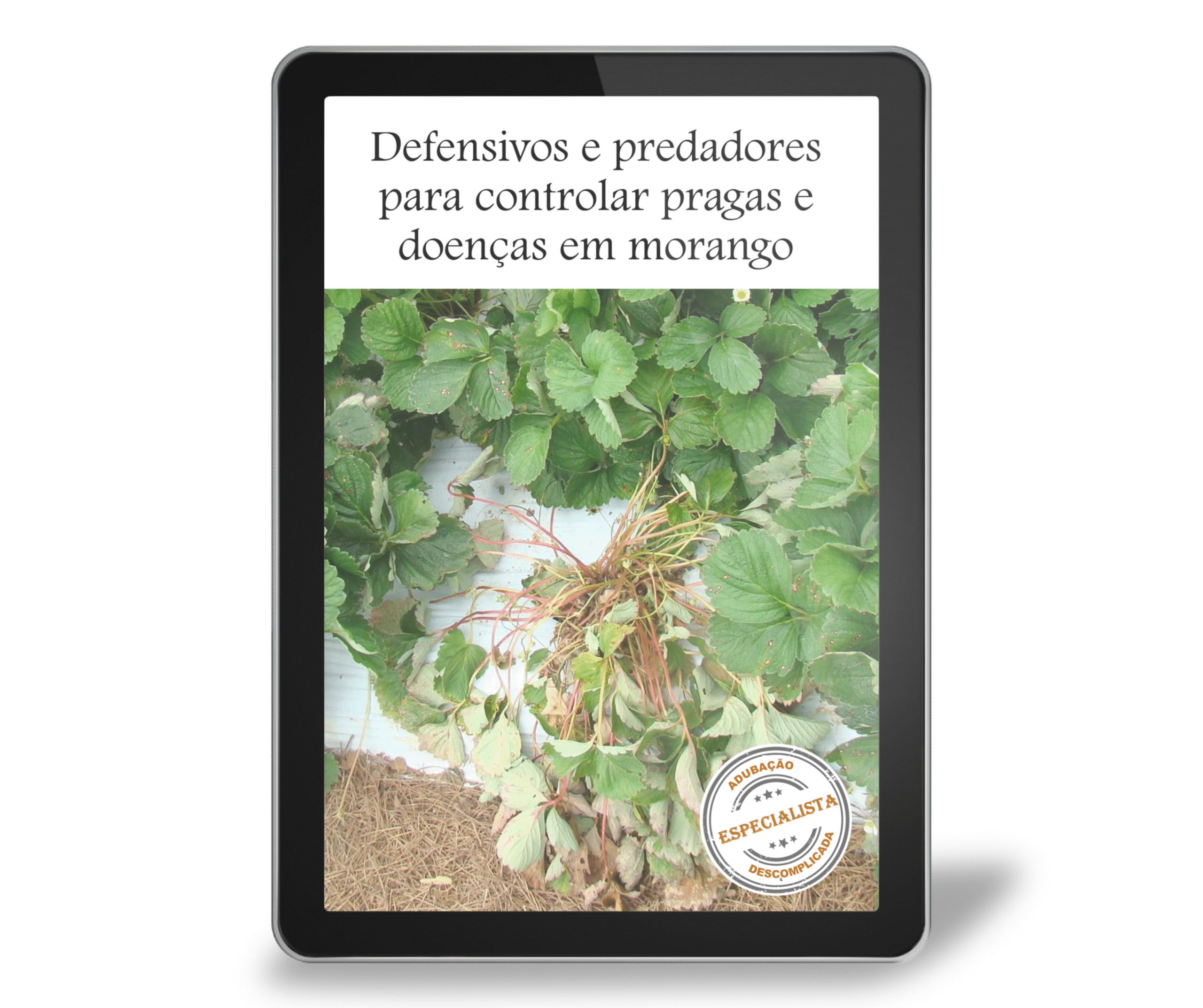 meuEbookResetei (17)