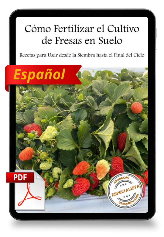 Suelo_nuevo