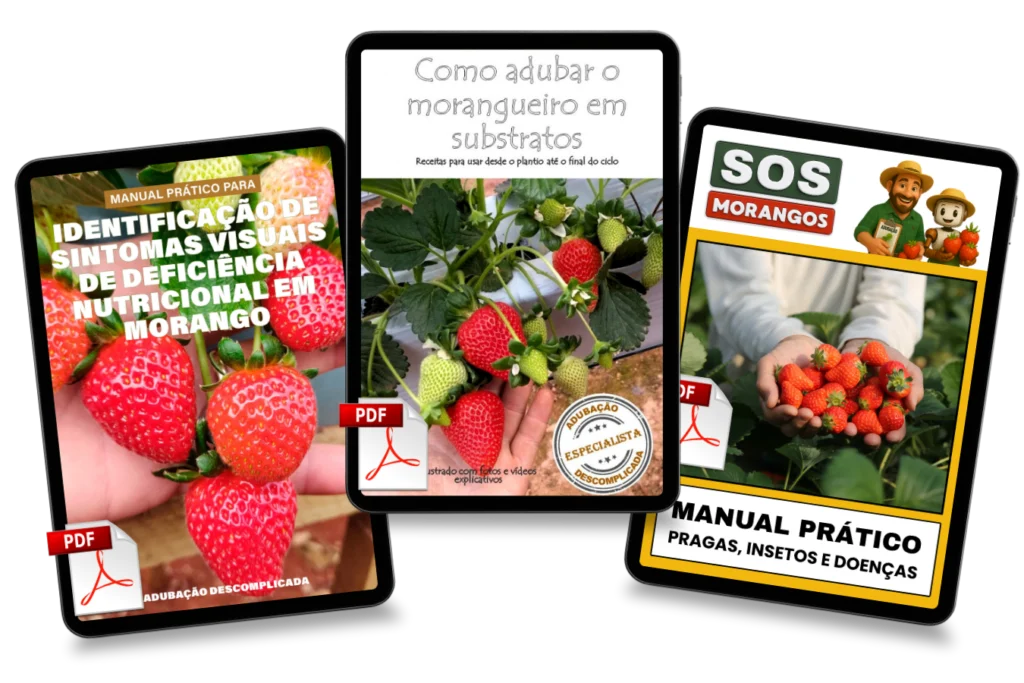 Copy-of-Combo-triplo_20251230_142053_0000