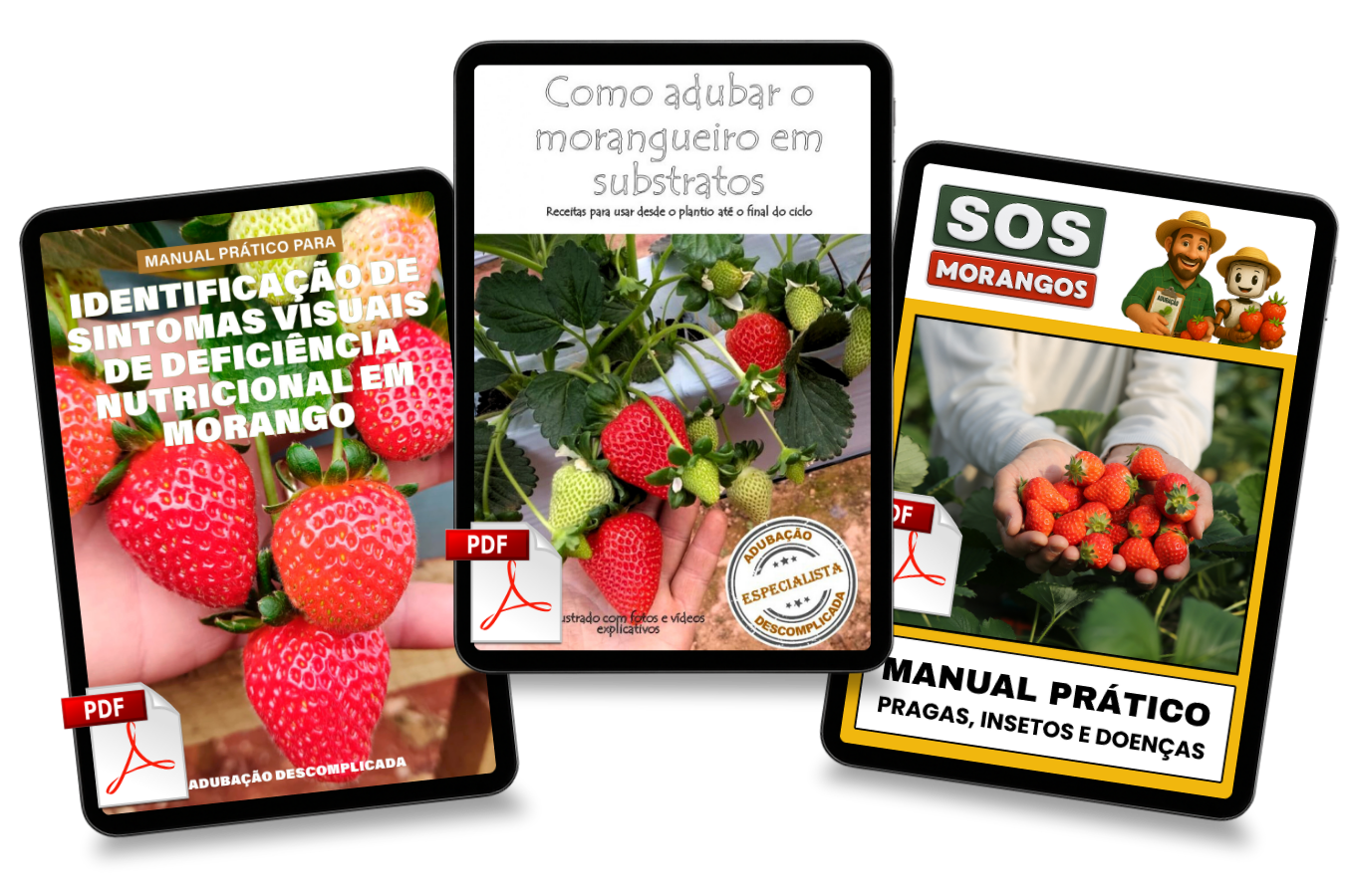 Copy-of-Combo-triplo_20251230_142053_0000