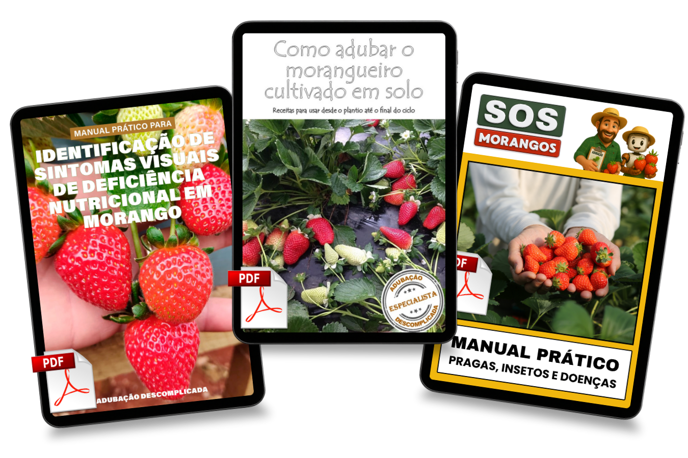 Copy-of-Combo-triplo_20251230_142053_0001