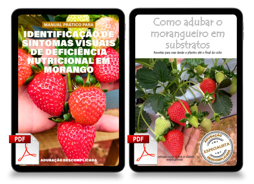 Adubacao 2 livros mockup (1)