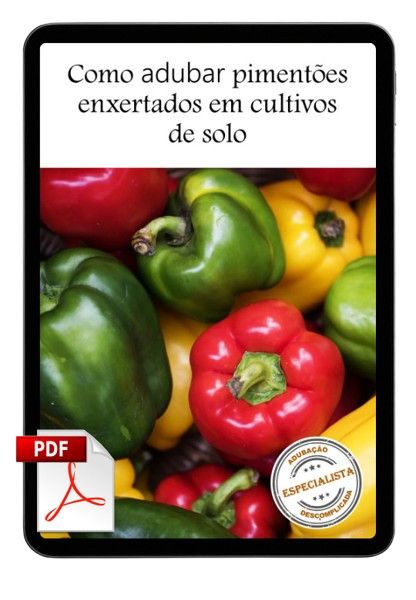 Pimentao_Enxertado_Solo_Mockup-removebg-preview