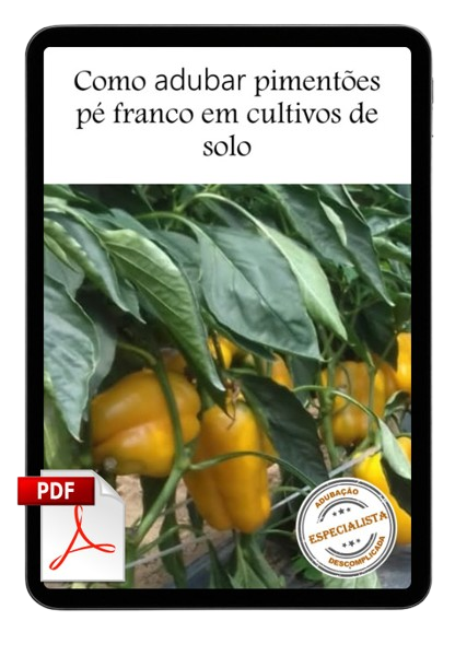 Pimentao_Pe_Franco_Solo_Mockup-removebg-preview