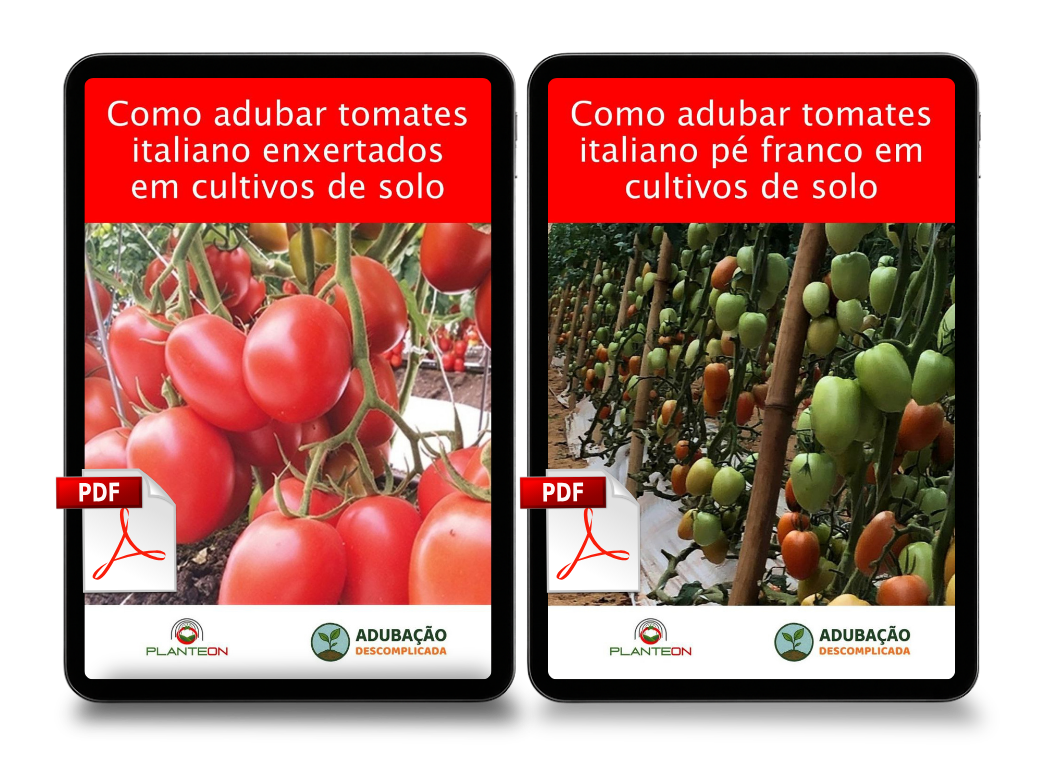 Kit Tomate Italiano PDF