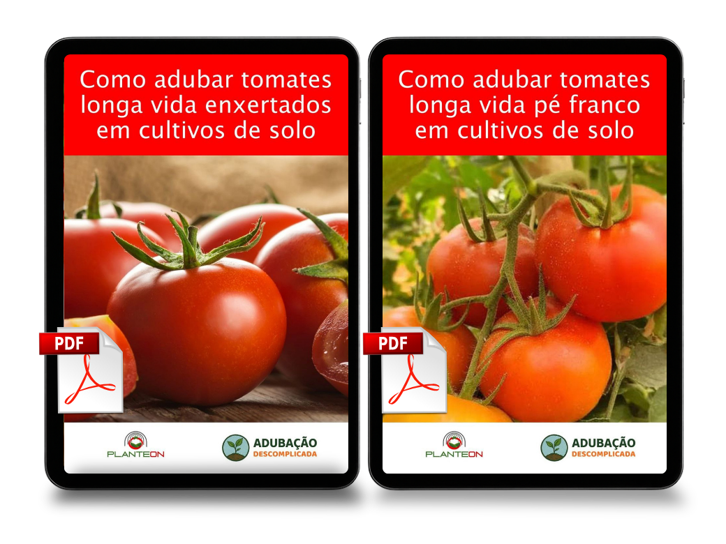 Kit Tomate Longa Vida PDF