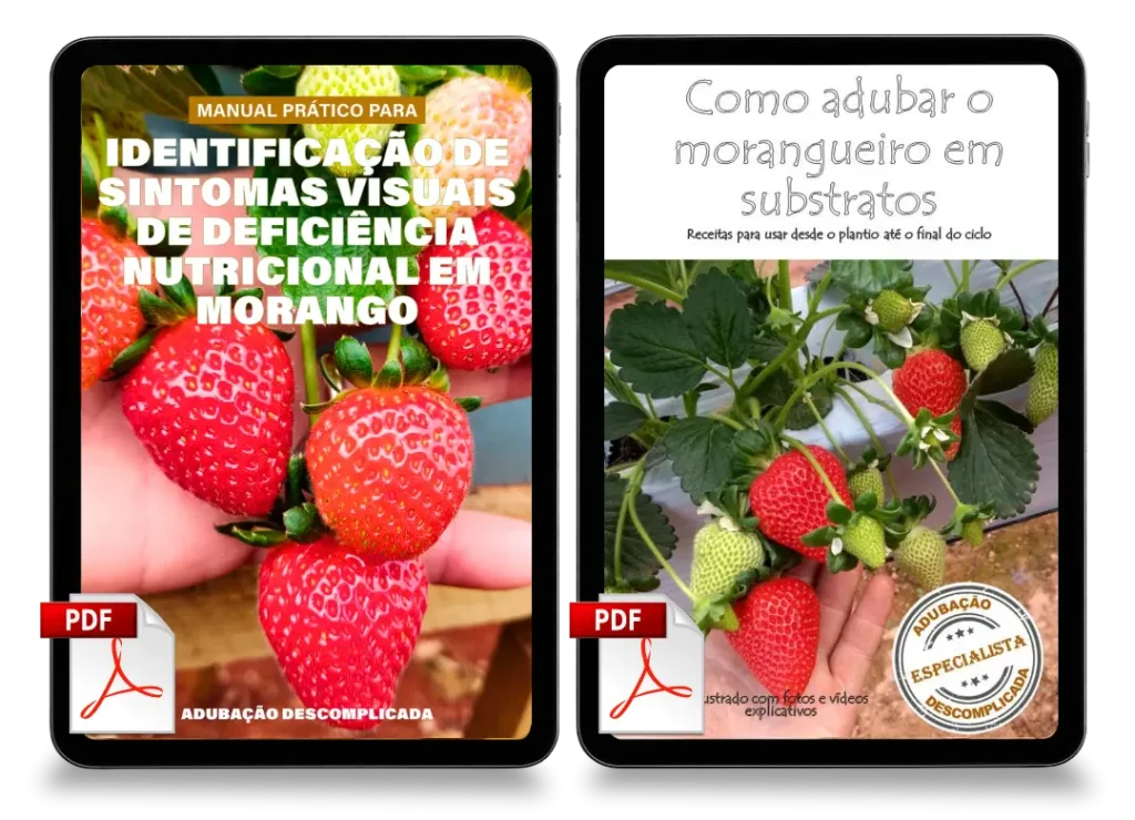 [squoosh] Adubacao 2 livros mockup (3)