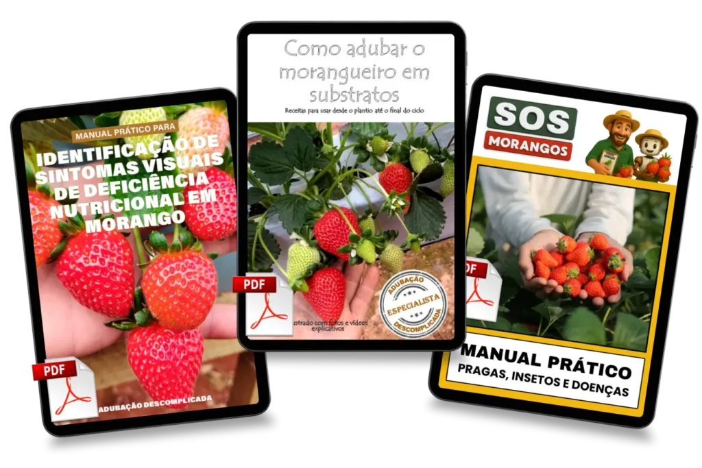 [squoosh] Combo triplo_20251230_142053_0000