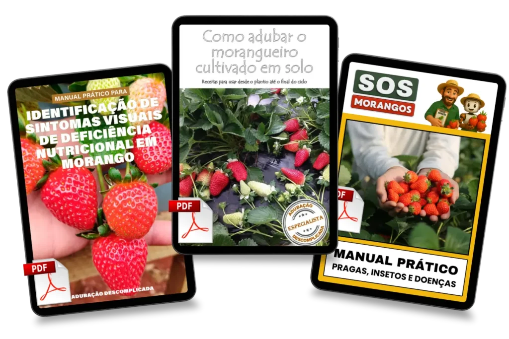 [squoosh] Combo triplo_20251230_142053_0001
