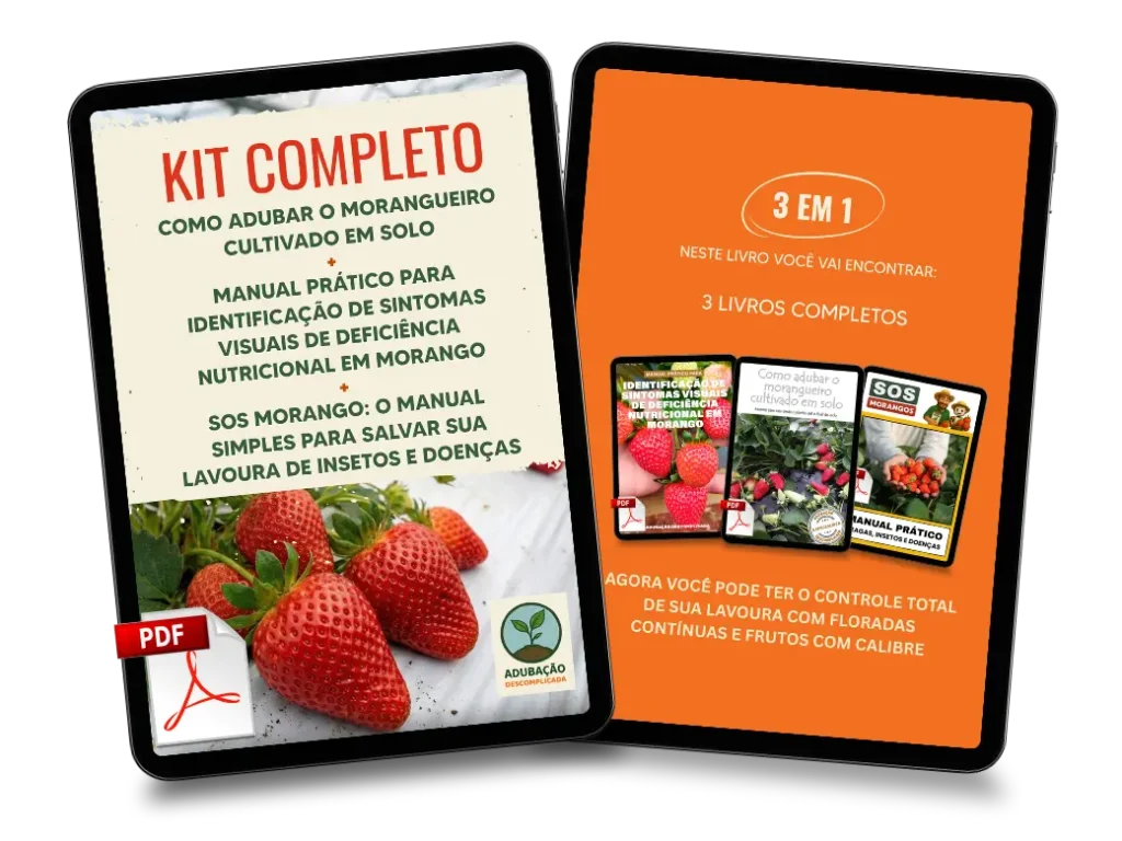 [squoosh] KIT COMPLETO - Duplo Solo (1)
