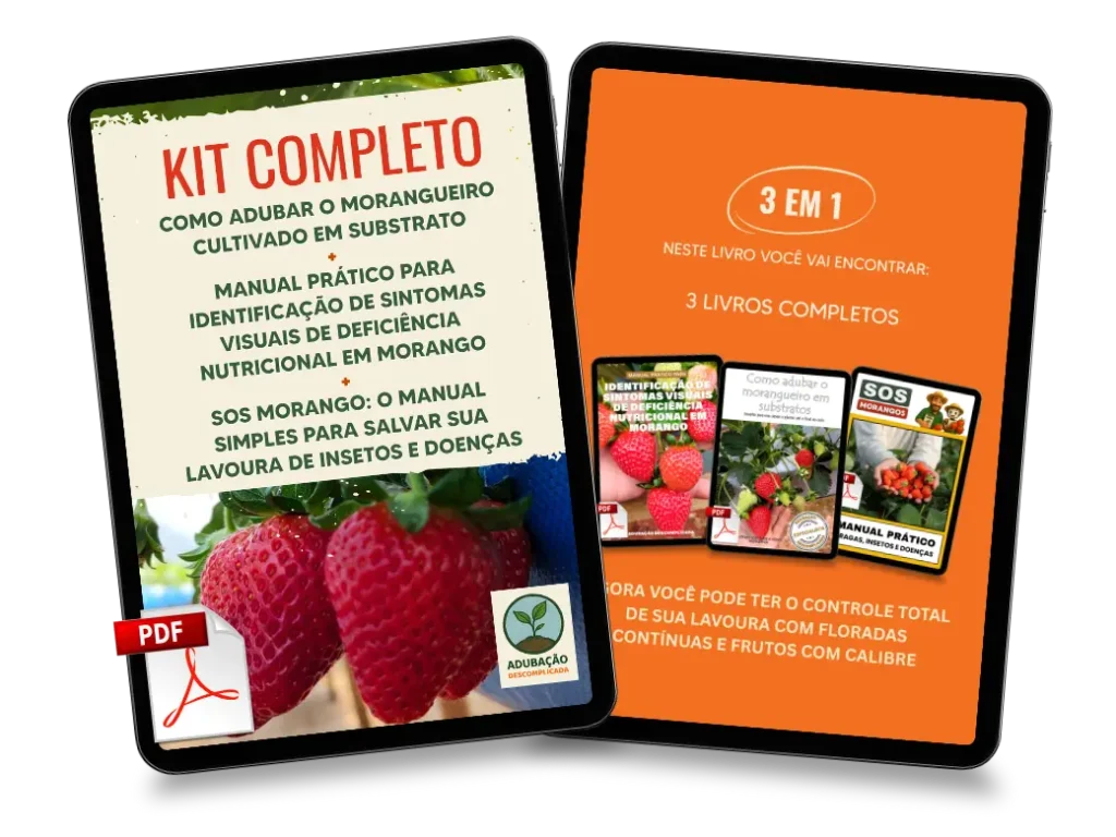 [squoosh] KIT COMPLETO - Duplo Substrato (1)