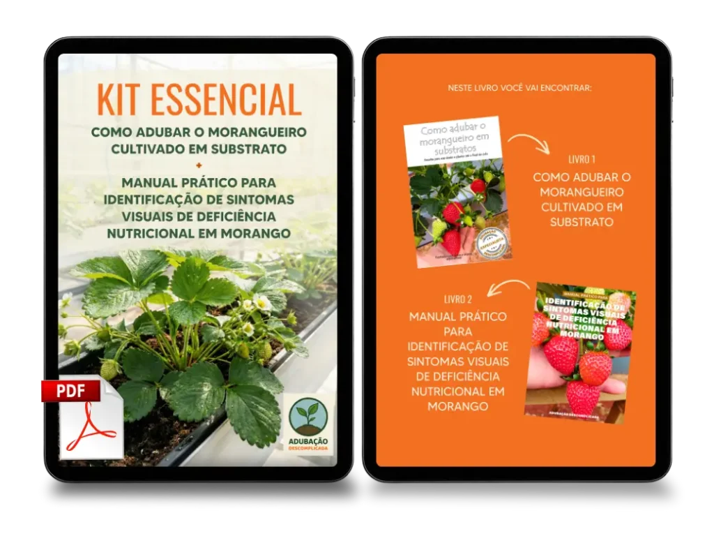 [squoosh] KIT Essencial - Duplo Substrato (1)