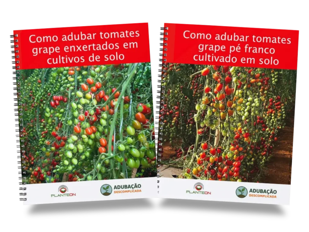 [squoosh] Kit Tomate Grape Impresso (2)