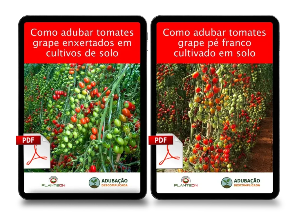 [squoosh] Kit Tomate Grape PDF (1) (1)