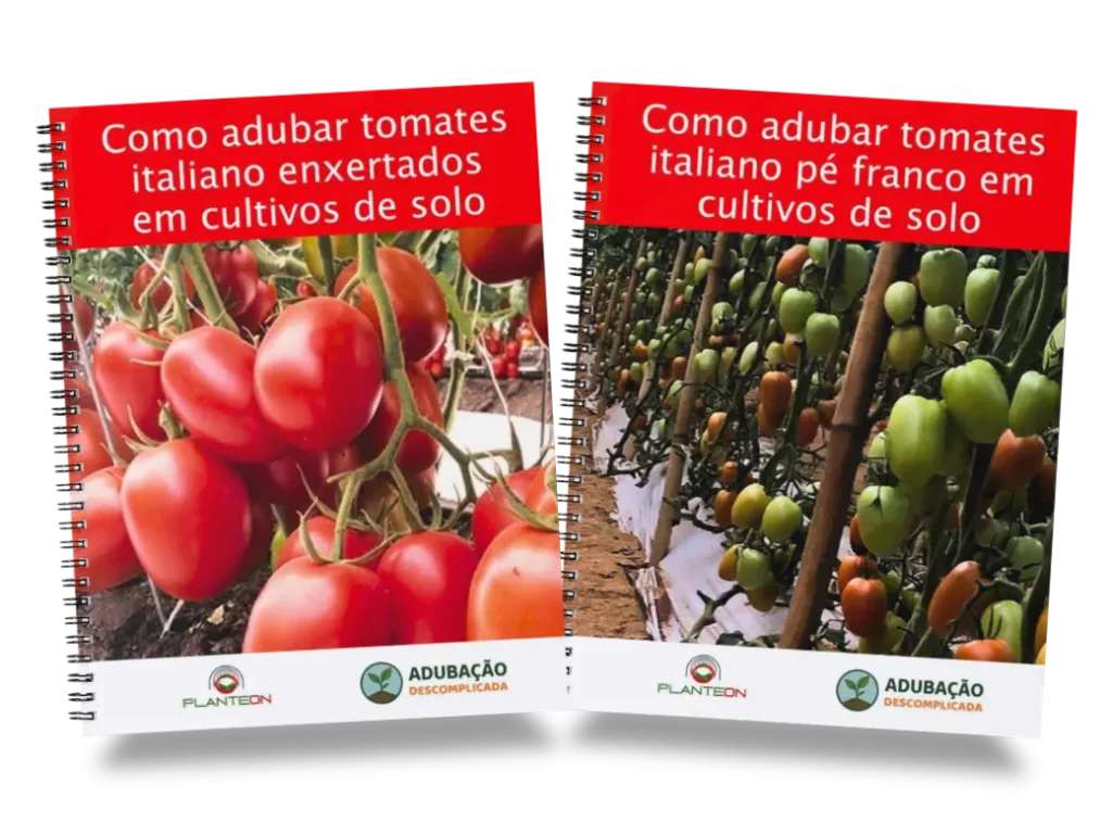 [squoosh] Kit Tomate Italiano Impresso (1)