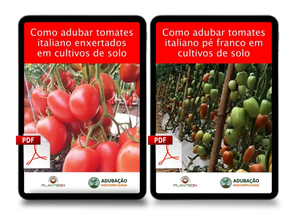 [squoosh] Kit Tomate Italiano PDF (1)