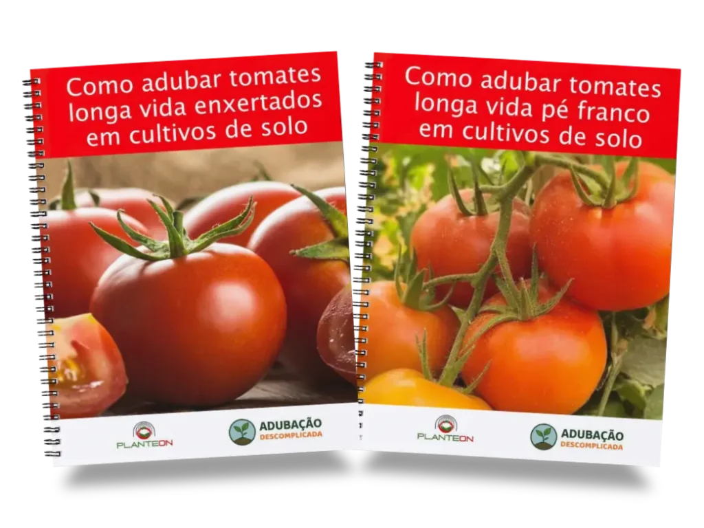 [squoosh] Kit Tomate Longa Vida Impresso (1)