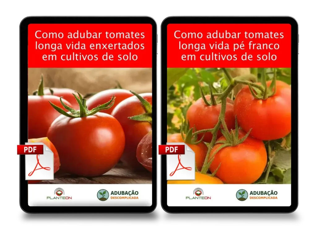 [squoosh] Kit Tomate Longa Vida PDF (2)