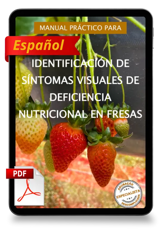 [squoosh] Mockup - Fresas Diagn ES
