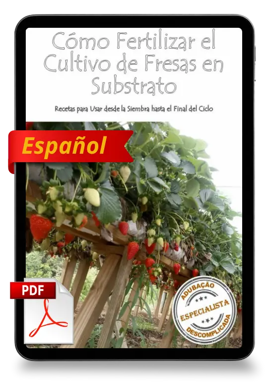 [squoosh] Mockup -Fresas Subs ES