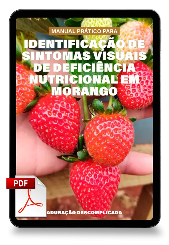 [squoosh] Mockup - Mor Diagnose PT