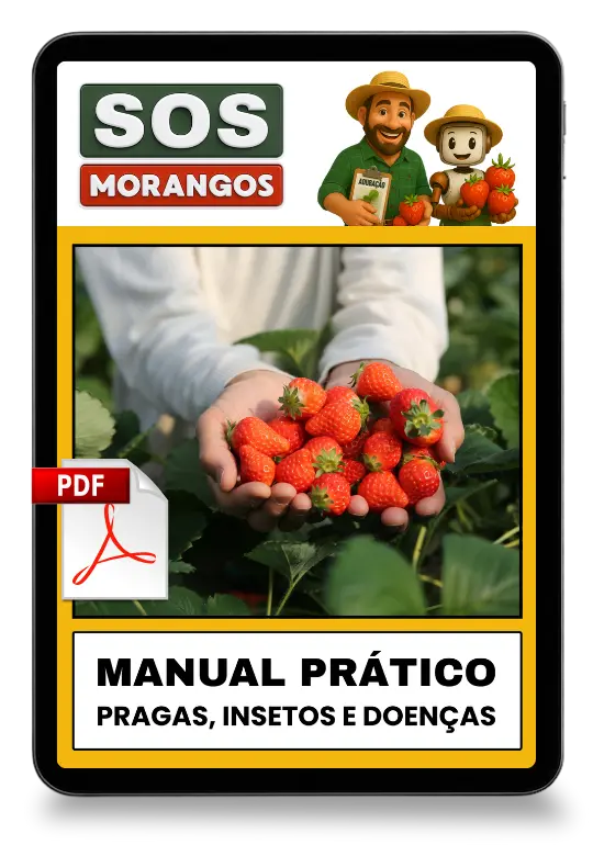 [squoosh] Mockup SOS Mor 1