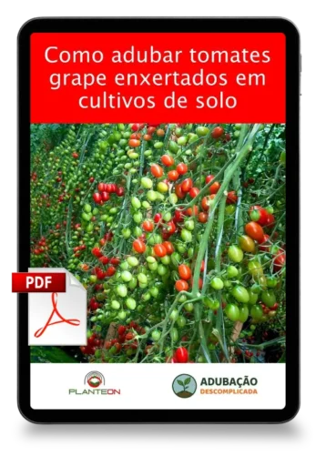 [squoosh] Mockup Tomate Grape Enxertado Solo - PDF (1)