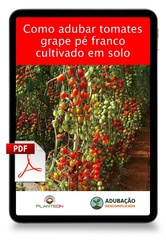 [squoosh] Mockup Tomate Grape Pe Franco Solo - PDF (1)