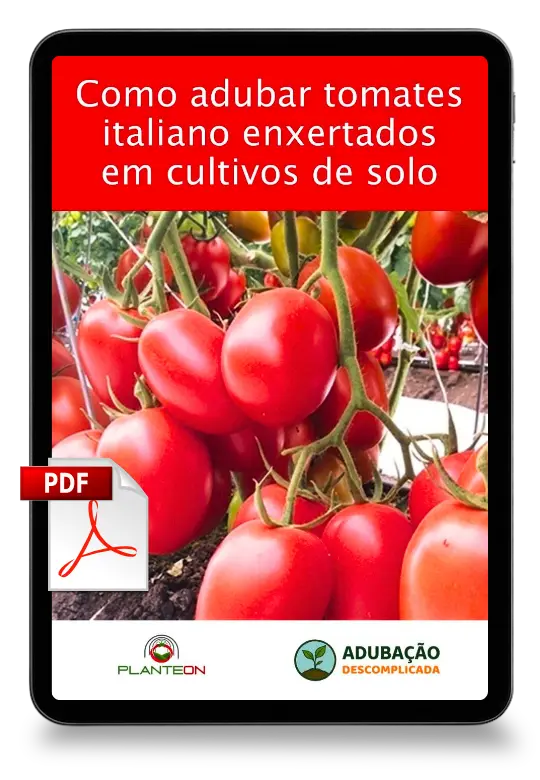 [squoosh] Mockup Tomate Italiano Enxertado Solo - PDF (1)