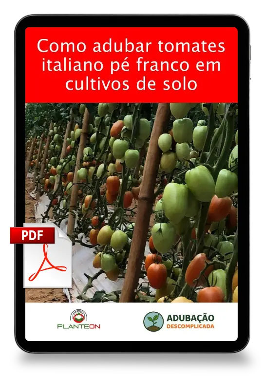 [squoosh] Mockup Tomate Italiano Pe Franco Solo - PDF (1)