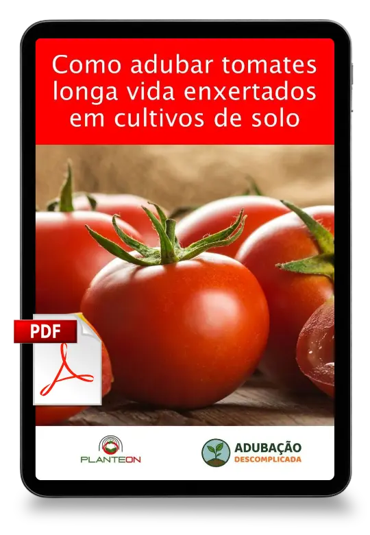 [squoosh] Mockup Tomate Longa Vida Enxertado Solo - PDF
