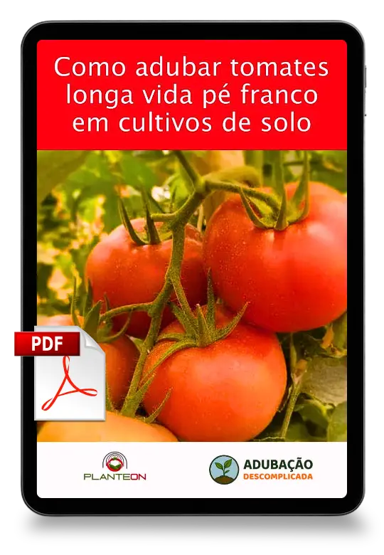 [squoosh] Mockup Tomate Longa Vida Pé Franco Solo - PDF