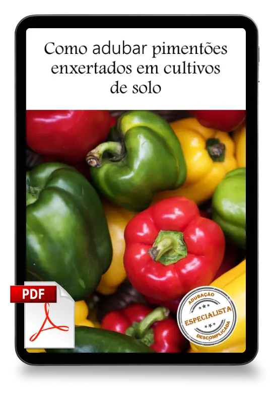 [squoosh] Pimentao Enxertado Solo Mockup
