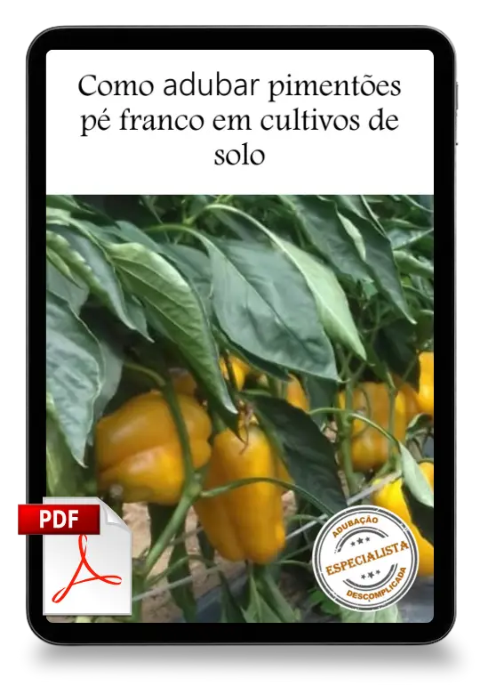 [squoosh] Pimentao Pe Franco Solo Mockup