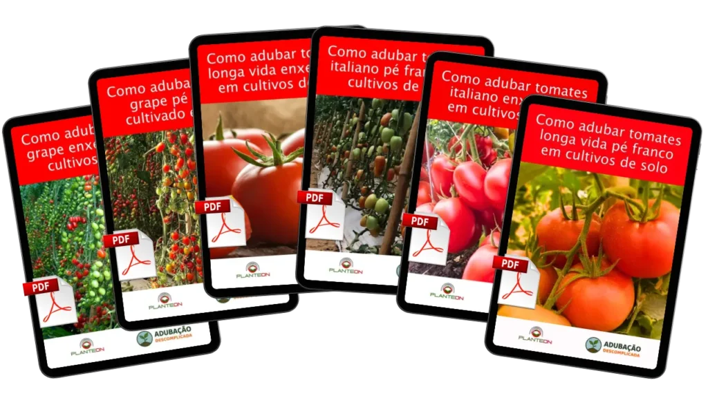 [squoosh] Tomate - Super Kit Digital (1)